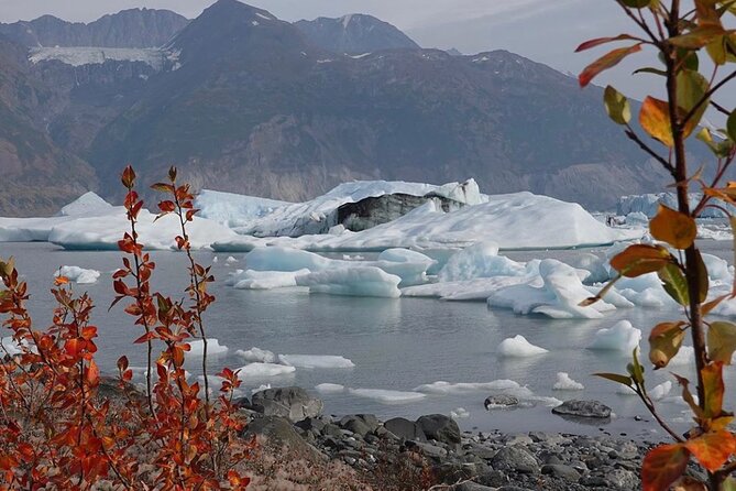 Grand Knik Helicopter Tour - 2 hours 3 landings - ANCHORAGE AREA - What the guide adds to the flight