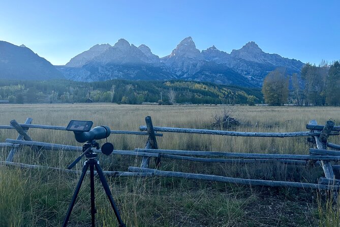 Grand Teton Half Day Tour - Signal Mountain and glacier viewpoints