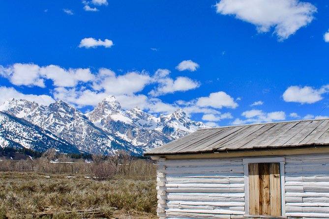 Grand Teton Half Day Tour - Moose Wilson Road and the Snake River Overlook