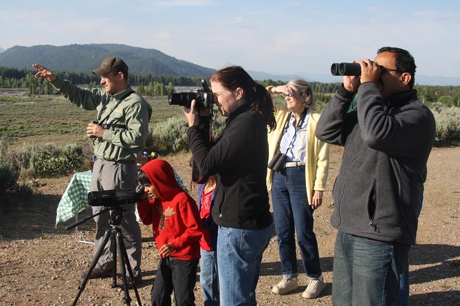 Grand Teton Wildlife Safari in a Enclosed or Open-Air Vehicle (season dependent) - Searching for moose, elk, bears, and wolves