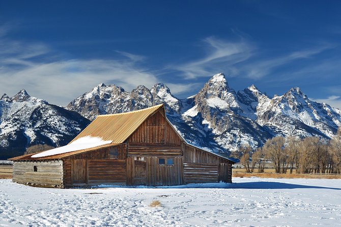 Grand Teton Wildlife Safari in a Enclosed or Open-Air Vehicle (season dependent) - Who will enjoy this safari most