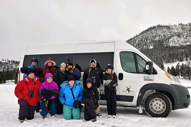 Grand Teton Wildlife Safari in a Enclosed or Open-Air Vehicle (season dependent) - Open-air safari rides from June through mid-September