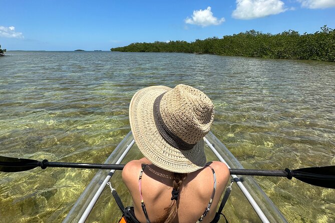 Guided Clear Kayak Eco-Tour Near Key West - Key things to know before you book