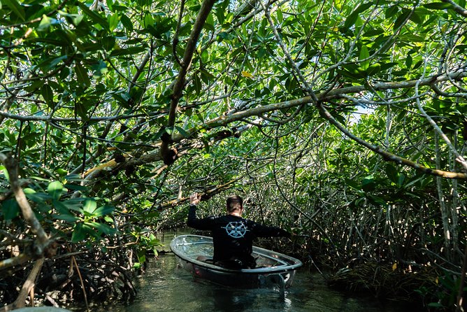 Guided Clear Kayak Eco-Tour Near Key West - From Sugarloaf Marina into the backcountry