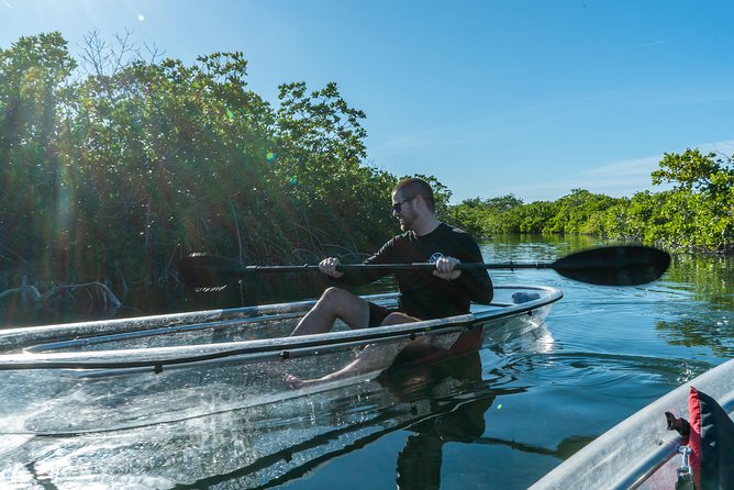 Guided Clear Kayak Eco-Tour Near Key West - The wildlife you may see below