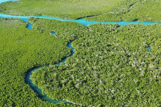 Guided Clear Kayak Eco-Tour Near Key West - Who will enjoy this paddle most?