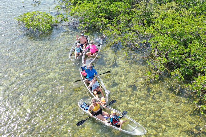 Guided Clear Kayak Eco-Tour Near Key West - Sugarloaf Key’s mangrove channels