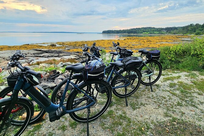 Guided Ebike Tour of Acadia National Park Carriage Roads - The guides make a real difference