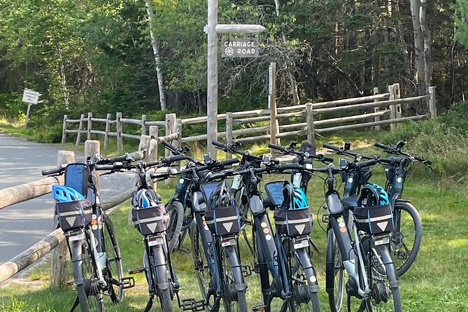 Guided Ebike Tour of Acadia National Park Carriage Roads - Eagle Lake and the beaver pond stop