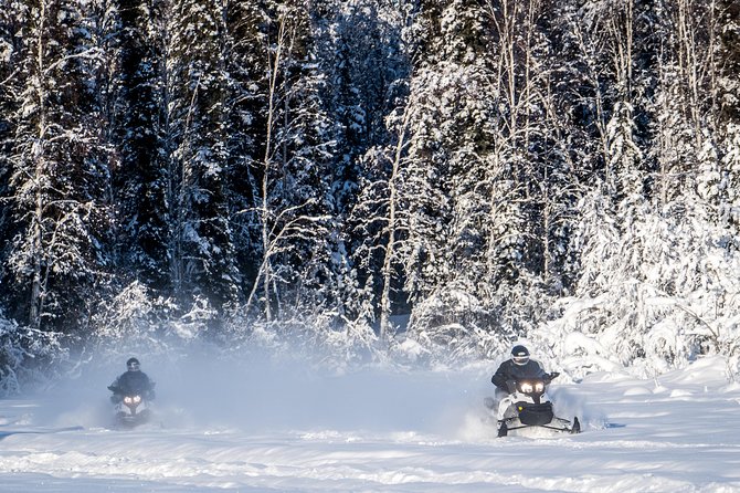 Guided Fairbanks Snowmobile Tour - Riding a Ski-Doo near North Pole