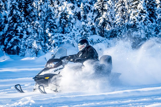 Guided Fairbanks Snowmobile Tour - What happens during the one-hour tour