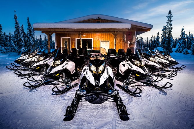 Guided Fairbanks Snowmobile Tour - Guides, group size, and safety