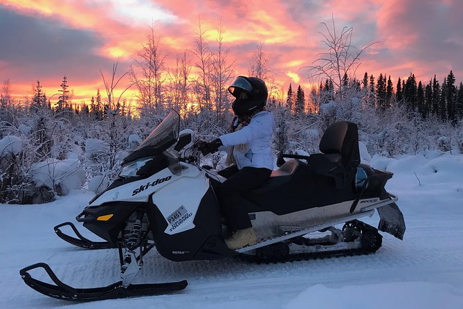 Guided Fairbanks Snowmobile Tour - Practical details that can make or break the outing