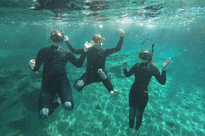 Guided Small Group Manatee Snorkeling Tour with In-Water Photographer - Arriving at 226 NE 5th Street