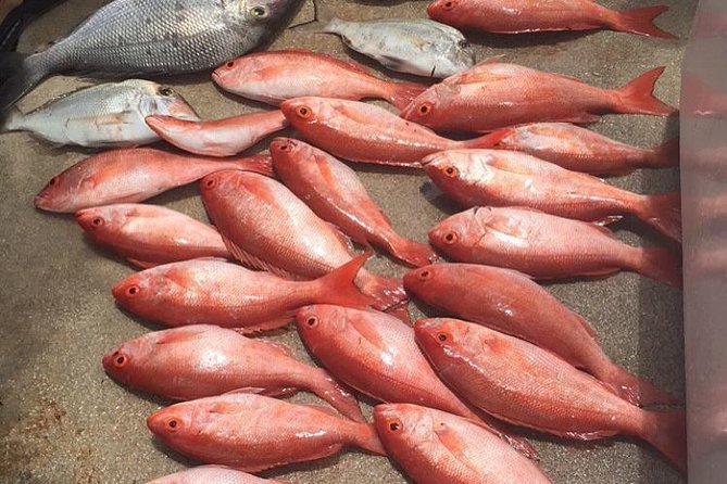 Half-Day Fishing Trip in Fort Lauderdale - A four-hour introduction to ocean fishing
