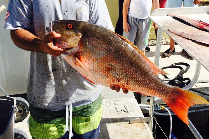 Half-Day Fishing Trip in Fort Lauderdale - Weather, motion, and seasickness
