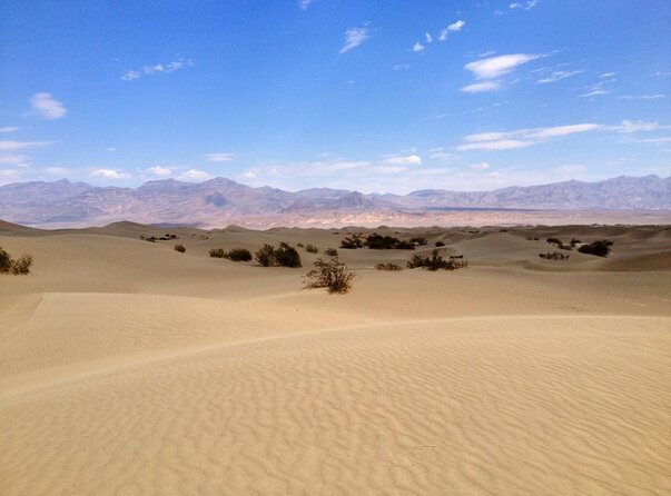 Half-Day Mojave Desert ATV Tour from Las Vegas - The orientation decides how comfortable you feel