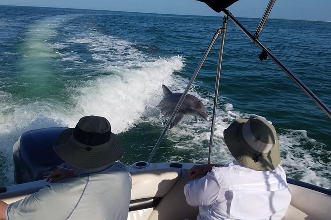 Half-Day Private Boating On Black Hurricane - Clearwater Beach - Dolphin watching and local wildlife