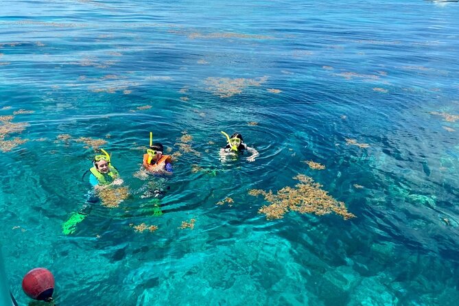 Half Day Snorkel Trip on Reefs in the Florida Keys - John Pennekamp Coral Reef State Park
