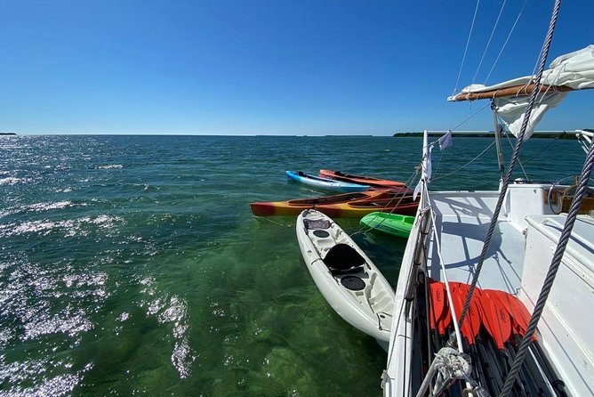 Half-Day Trip from Key West with Kayaking, Snorkeling & Sunset - Snorkeling above the protected reef