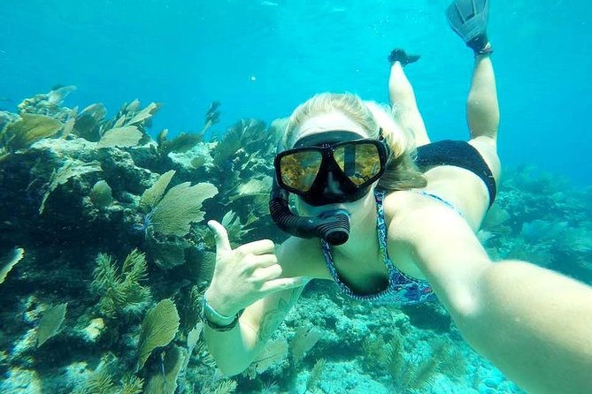 Half-Day Trip from Key West with Kayaking, Snorkeling & Sunset - Is $115 a fair price?