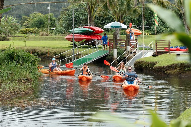 Hanalei Bay Morning Kayak and Snorkel Tour - Should you book it?