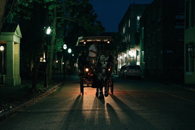 Haunted Evening Horse and Carriage Tour of Charleston - A useful outing for families and mixed-age groups