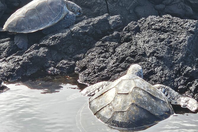 Hawaii Volcanoes, Waterfalls, Beaches & Hilo Highlights Day Tour - Big Island Candies brings a sweet local break