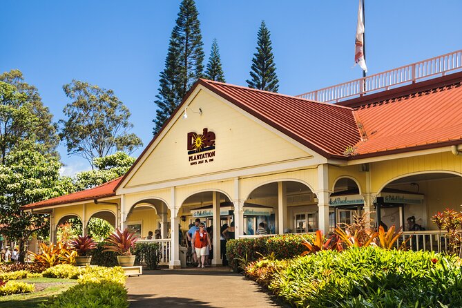 Hidden Gems of Oahu Circle Island Tour with Byodo In Temple - Lunch, garlic shrimp, and the tour’s most practical warning