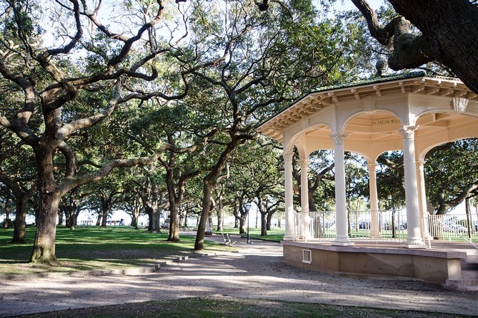 Highlights of Charleston Guided Walking Tour - What the guide adds to the experience