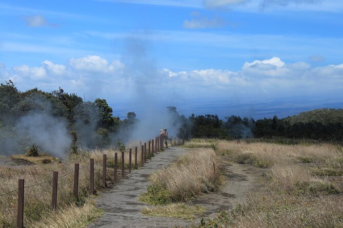Hilo Shore Excursion: Active Volcano, Lava Tube, Waterfall and Gardens - Price, group size, and what the $187.95 covers
