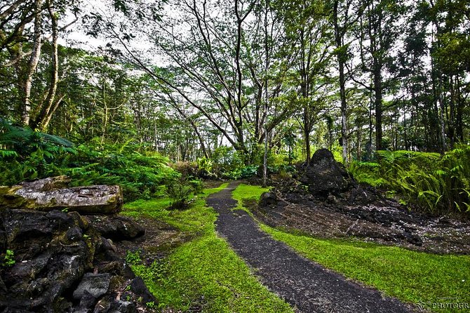Hilo Shore Excursion: Volcano Safari Lava Caves & Black Sand - A roadside overlook and the old Kings Trails