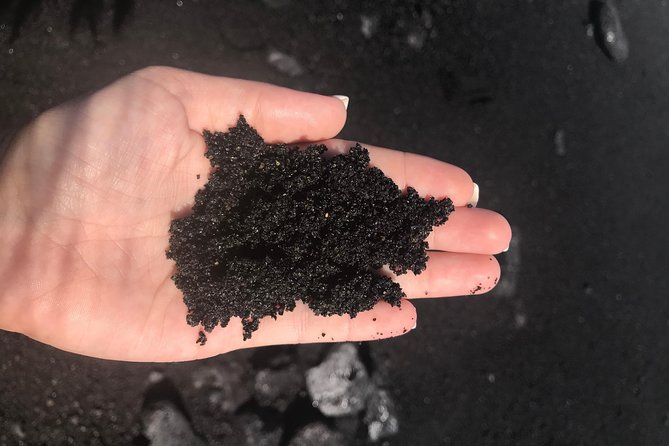Hilo Shore Excursion: Volcano Safari Lava Caves & Black Sand - Small-group transport, lunch, and the cruise-ship clock
