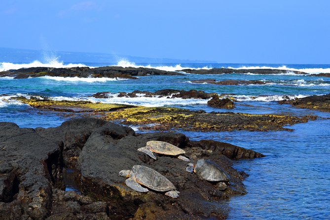 Hilo Shore Excursion: Volcanoes National Park & Black Sand Beach - Hilo begins with a changing itinerary