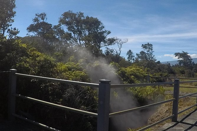 Hilo Shore Excursion: Volcanoes National Park & Black Sand Beach - Macadamia treats add a pleasant island pause