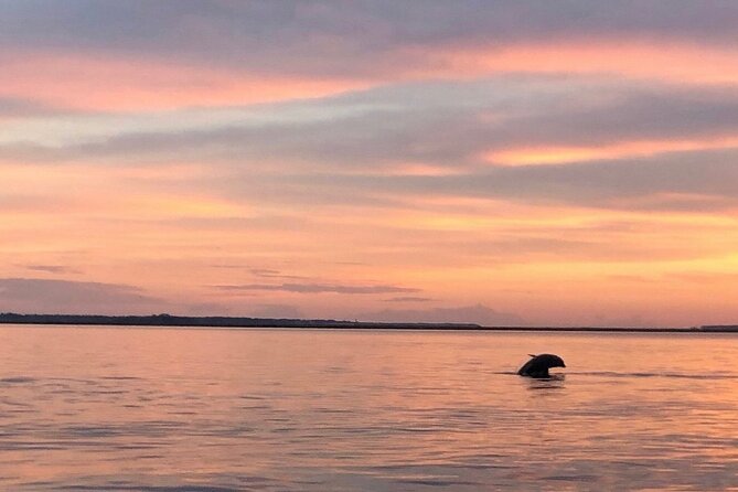Hilton Head Island Dolphin Boat Cruise - Why 90 minutes is the right length