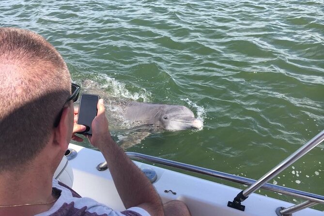Hilton Head Island Dolphin Boat Cruise - Is $39.99 a fair price?