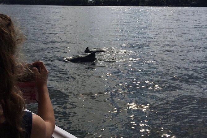 Hilton Head Island Dolphin Boat Cruise - Group size, comfort, and practical details