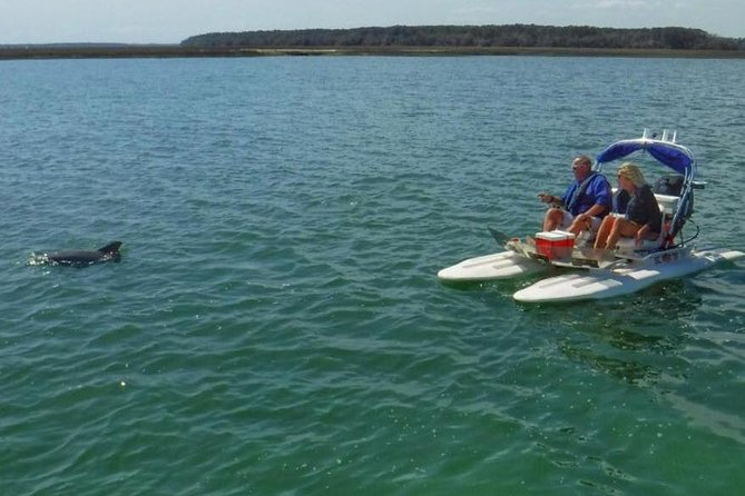 Hilton Head Island Guided Water Tour by Creek Cat Boat - Harbour Town and the PGA connection