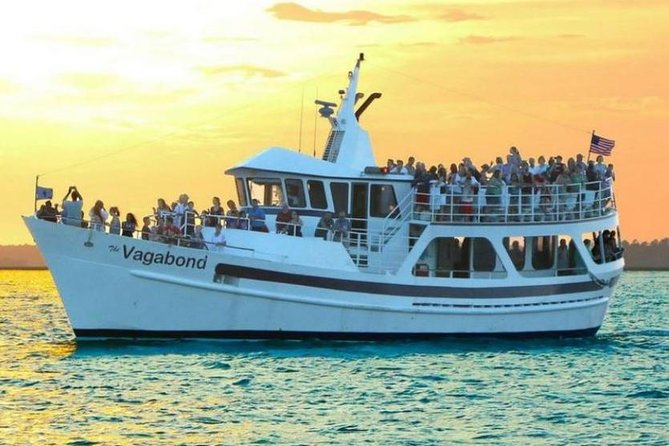 Hilton Head Island Ocean Dolphin Cruise - South Beach, Daufuskie Island, and Bull Island