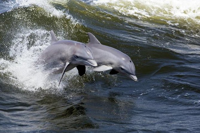 Hilton Head Island Ocean Dolphin Cruise - The first stretch through Calibogue Sound