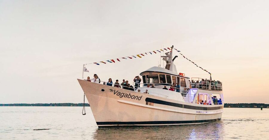 Hilton Head Island: Sunset Dolphin Cruise - Key points to know before booking