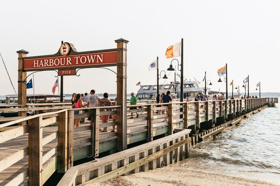 Hilton Head Island: Sunset Dolphin Cruise - Who will enjoy the Vagabond cruise most