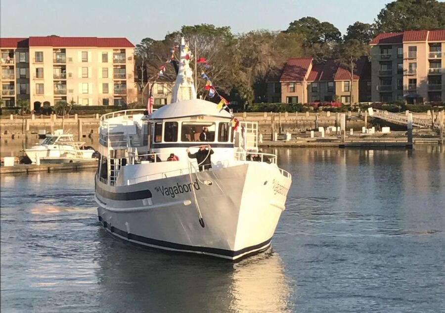 Hilton Head Island: Sunset Dolphin Cruise - Watching dolphins in their natural setting