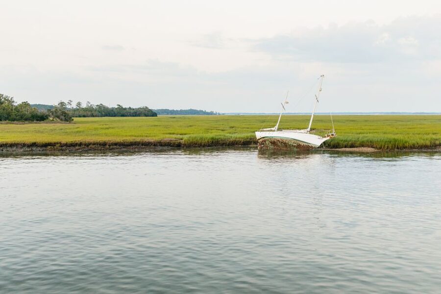 Hilton Head Island: Sunset Dolphin Cruise - The captain’s commentary adds real value