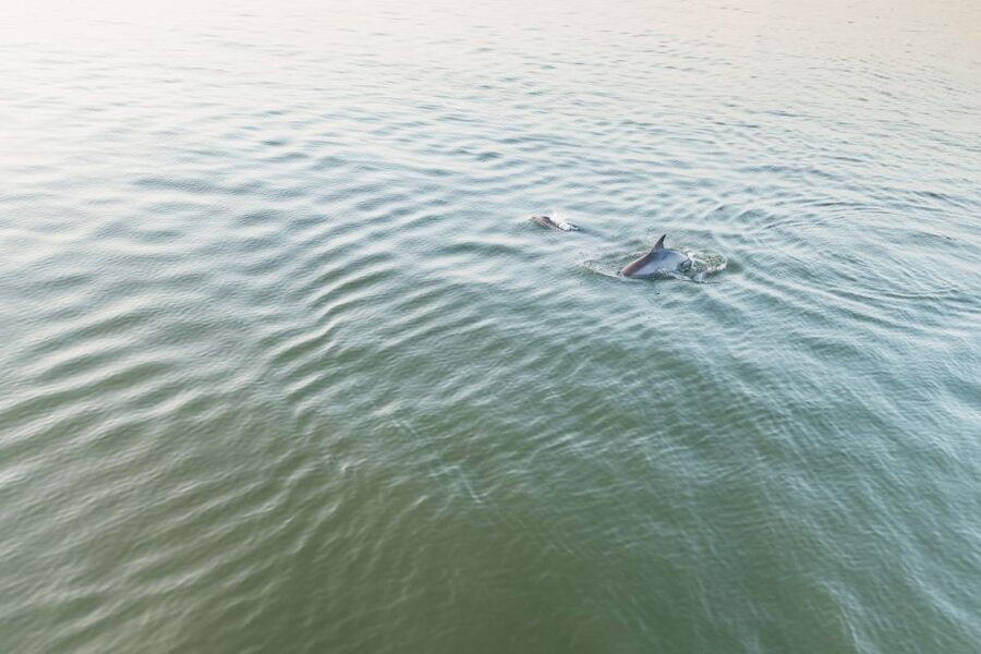 Hilton Head Island: Sunset Dolphin Cruise - Seating, wind, and what to wear