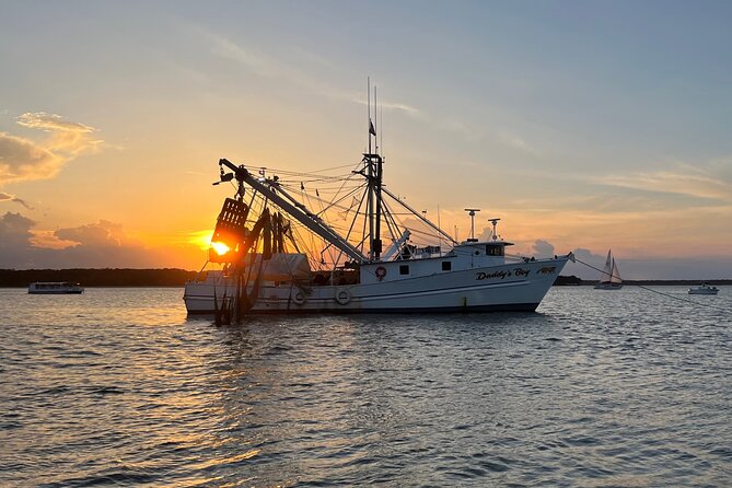 Hilton Head Shrimp Trawling Boat Cruise - Views, wildlife, and the open water