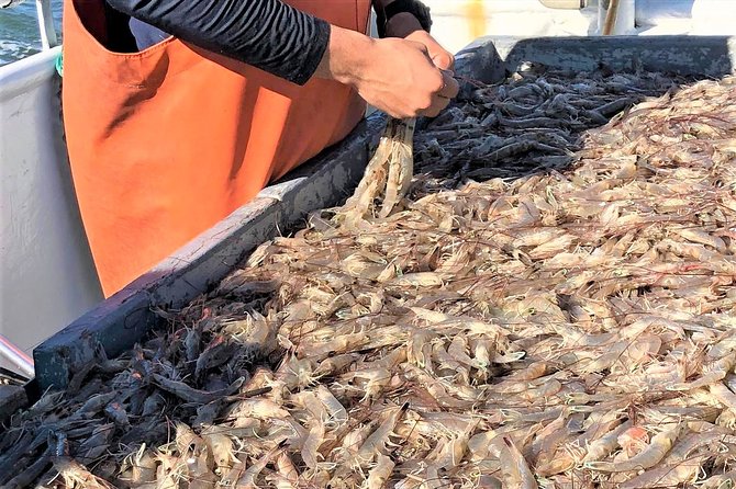 Hilton Head Shrimp Trawling Boat Cruise - Practical tips for a better cruise