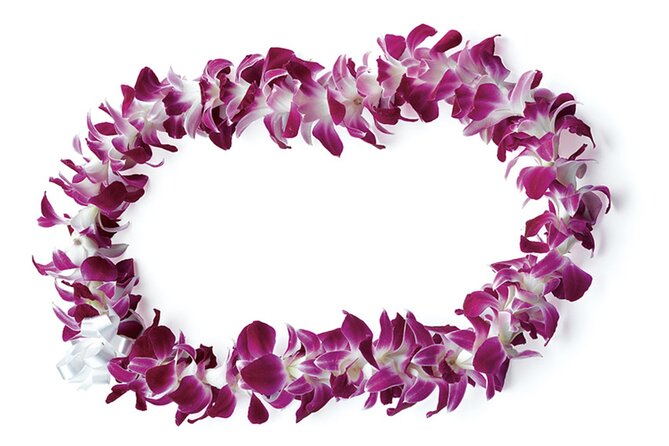 Honolulu Airport: Waikiki Private Transfer With Lei Greeting - Finding your driver in baggage claim