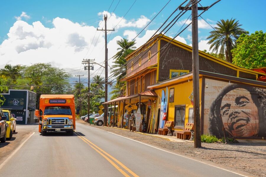 Honolulu: Oahu Island Full-Day Guided Tour by Bus with Lunch - Who should book this Oahu tour?